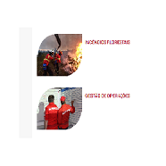 Anexo Áreas Formativas.png